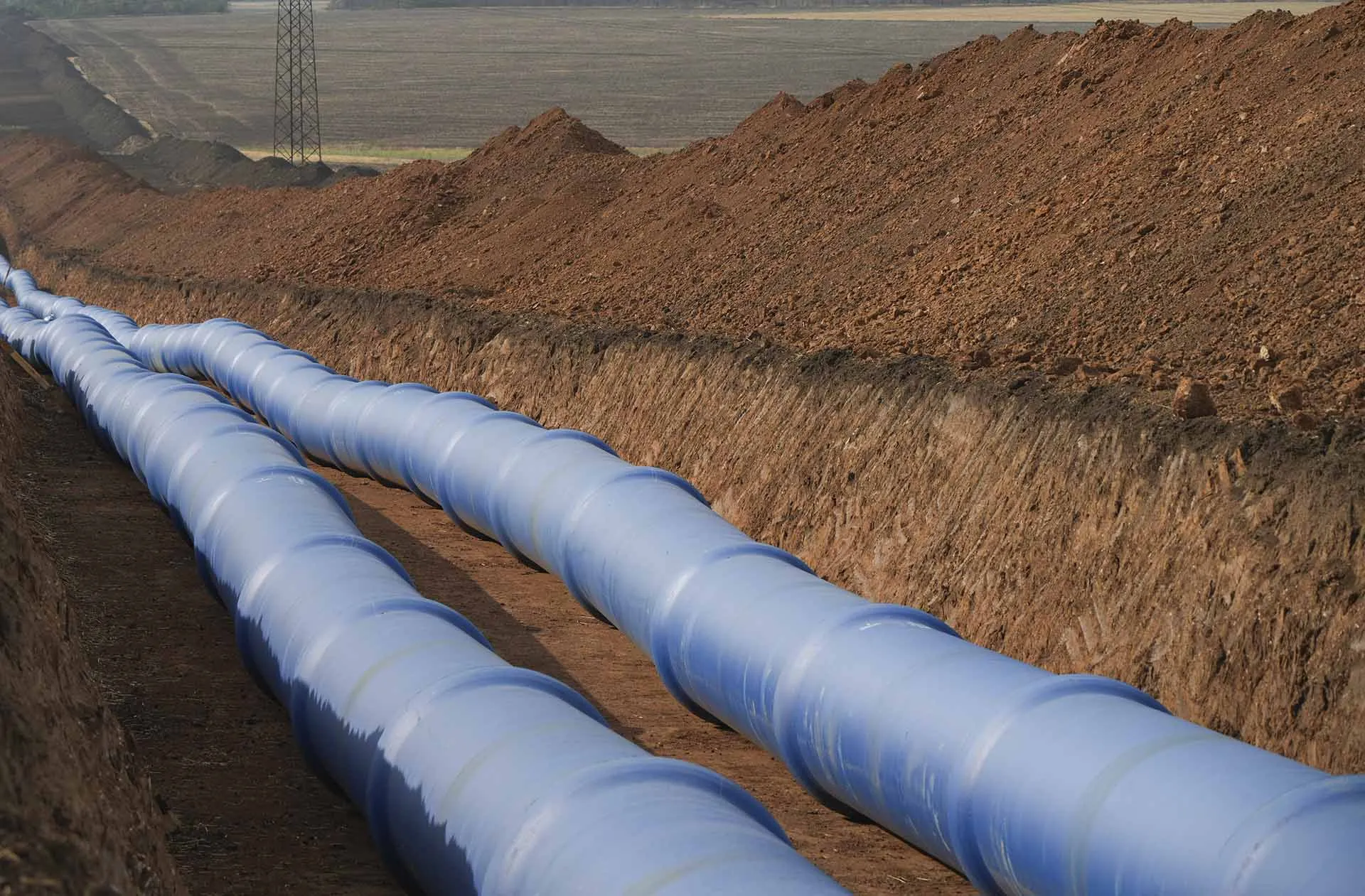 Александр Иванов/РИА Новости