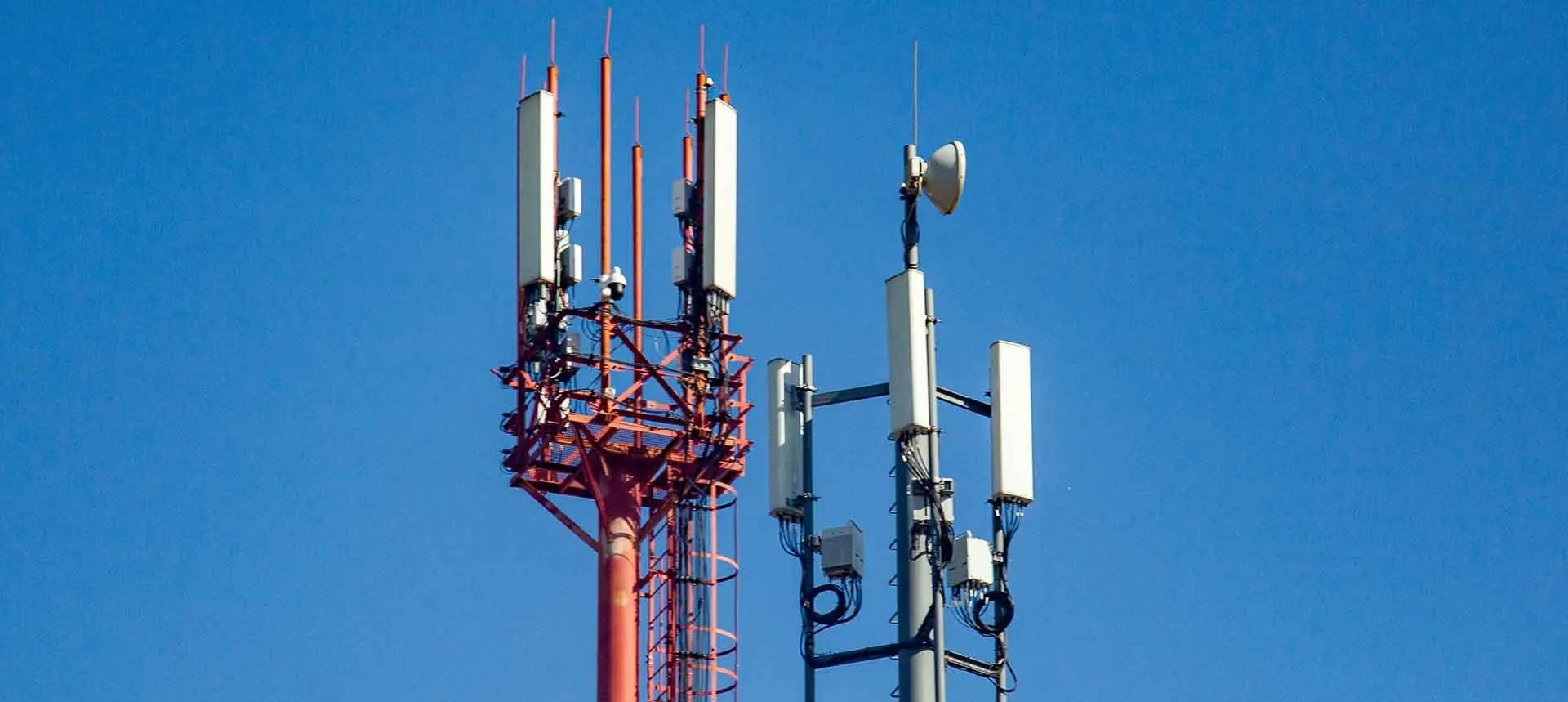 Оксана Король/Бизнес Online/ТАСС