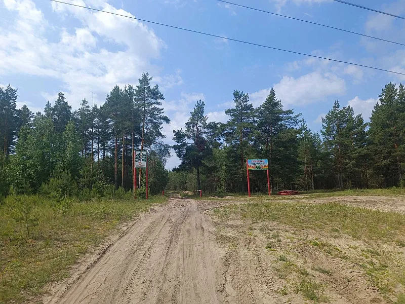 В&nbsp;Нижнем Новгороде ведется ежедневный мониторинг лесов