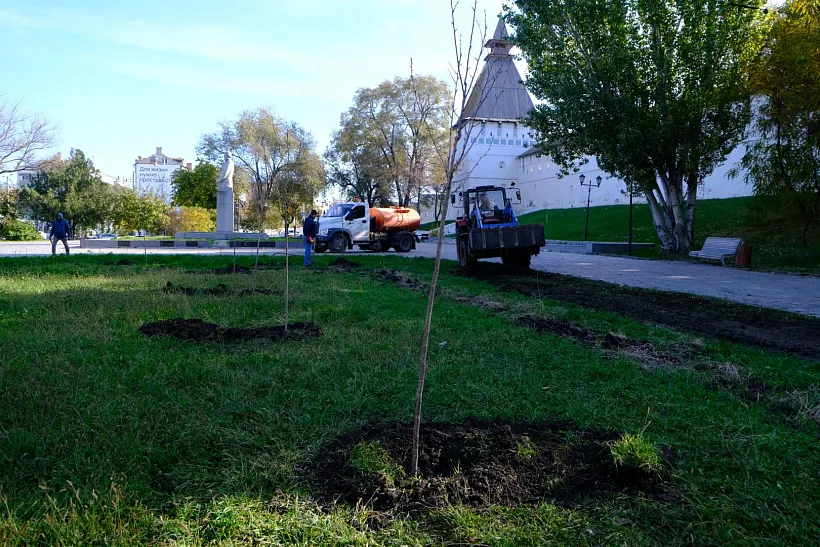 В&nbsp;сквере Ульяновых в&nbsp;Астрахани высадили 10&nbsp;деревьев сакуры