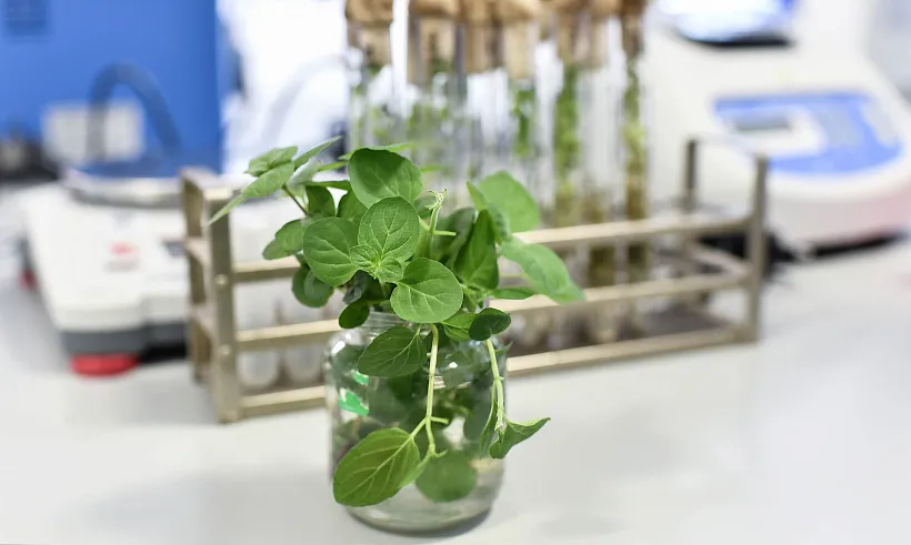 В&nbsp;селе Верхний Мамон Воронежской области открыли агротехкласс