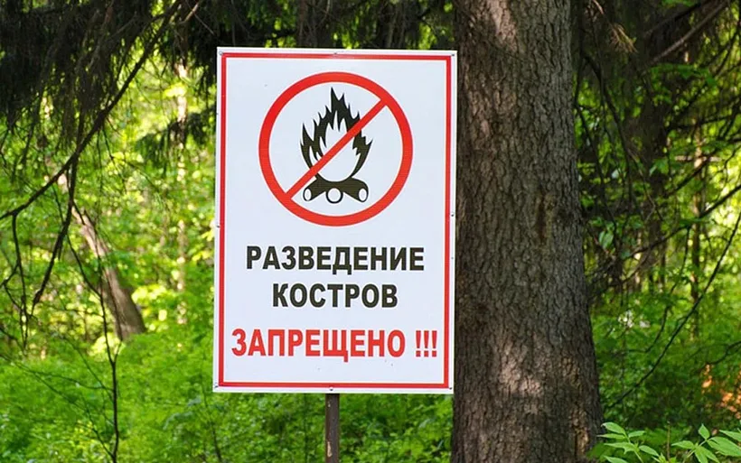 В&nbsp;лесопожарные формирования Тверской области поступает новое оборудование