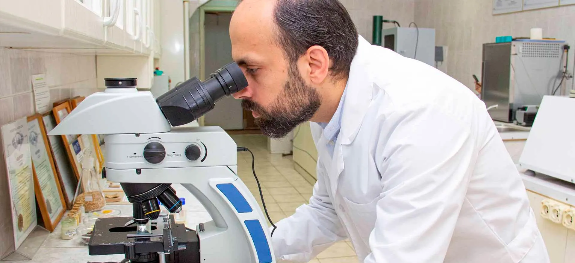 Южно-Уральский государственный университет (национальный исследовательский университет)