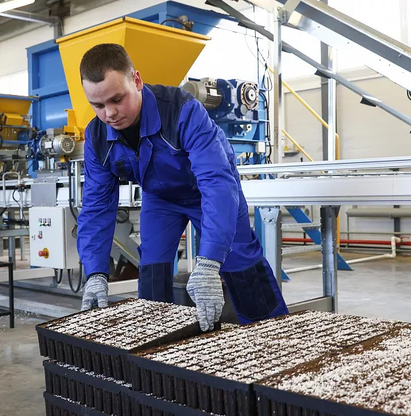 Кировская область перевыполнила план заготовки семян более чем в&nbsp;1,5&nbsp;раза