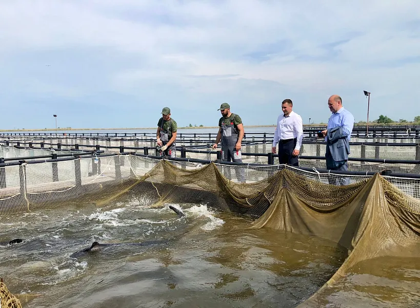 Донское производство осетровых привлекает туристов
