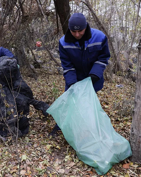В&nbsp;Череповце на&nbsp;территории Березовой рощи собрали 5&nbsp;контейнеров мусора