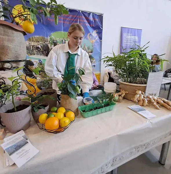 В&nbsp;Ставропольском крае заработала Единая профориентационная витрина