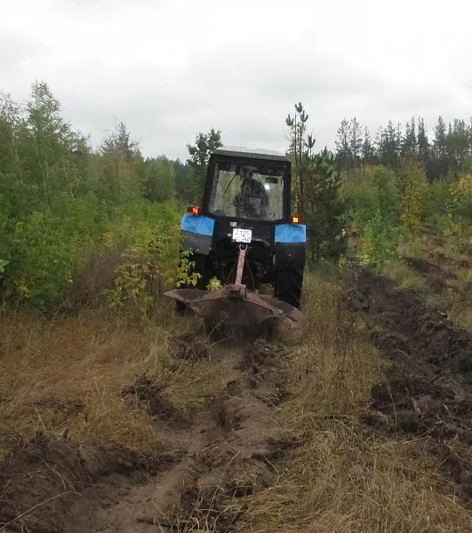 В&nbsp;Воронежской области подготовят почву под&nbsp;весеннюю посадку леса