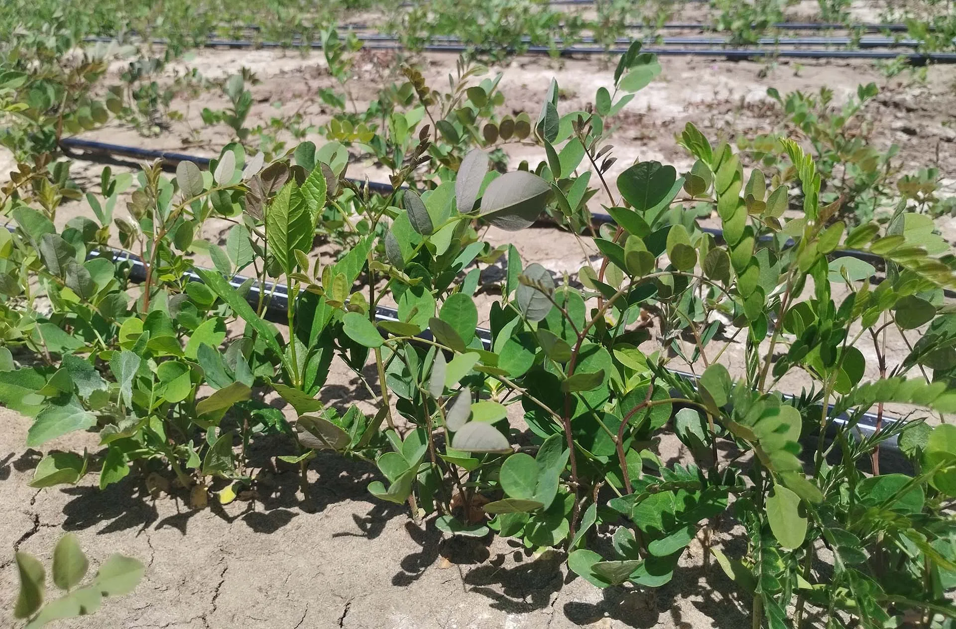 Комитет природных ресурсов, лесного хозяйства и экологии Волгоградской области