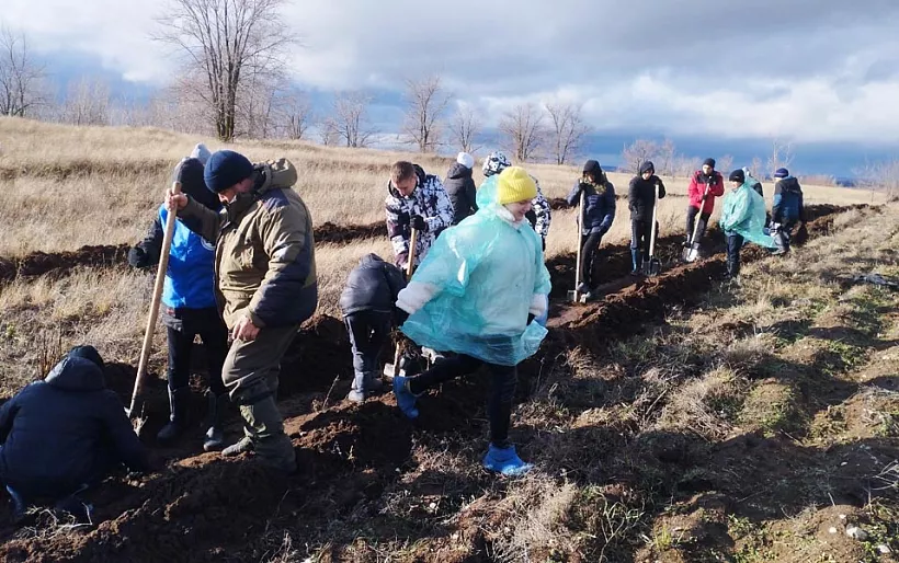 В&nbsp;селе Съезжем Самарской области высадили лесную полосу