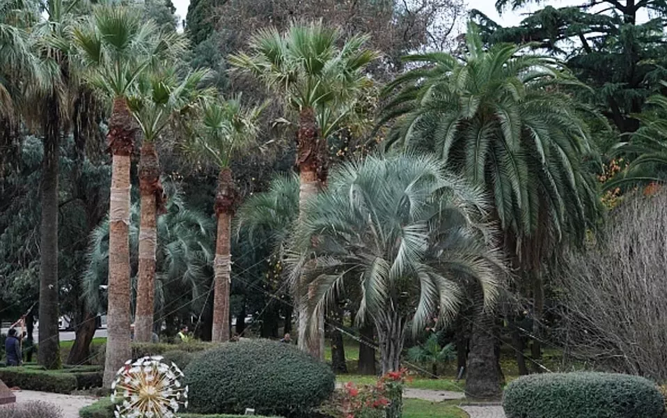 МКУ города Сочи "Агентство инноваций и коммуникаций"