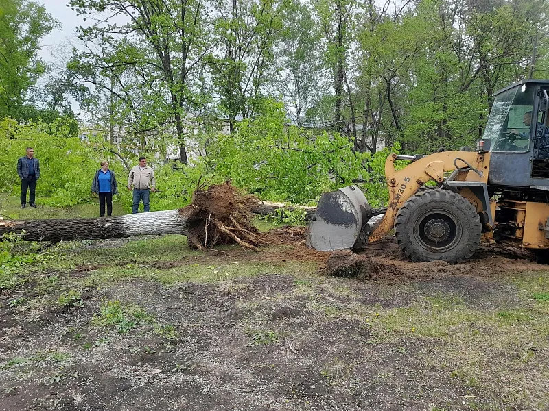 Парк благоустроят в&nbsp;селе Амурзет Еврейской автономной области