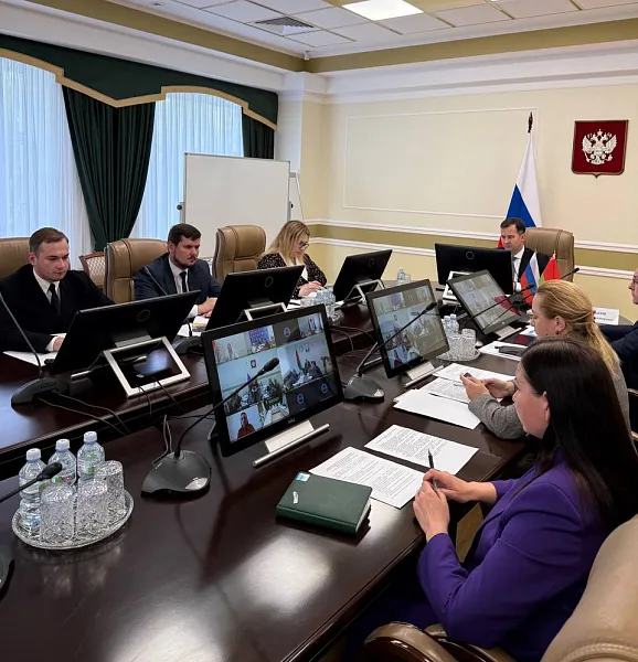 Опыт челябинских экологов представили на&nbsp;видеоконференции