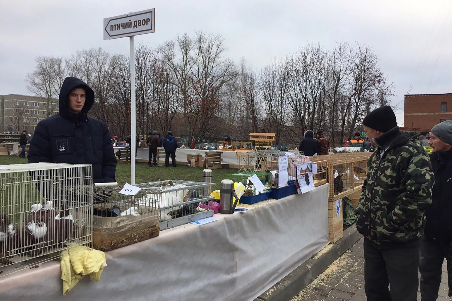 Администрация Первомайского района Тамбовской области