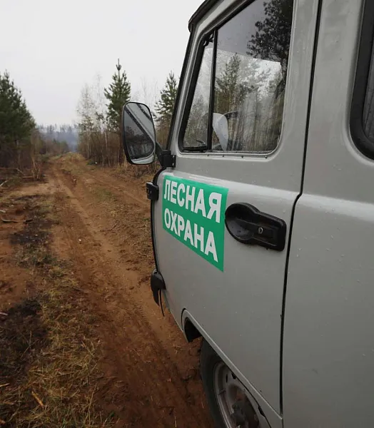 В&nbsp;Иркутской области с&nbsp;начала года провели почти 7&nbsp;тысяч патрулей леса