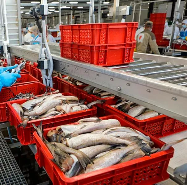 Экспорт агропромышленной продукции в&nbsp;Приморье вырос на&nbsp;30% за&nbsp;5&nbsp;лет