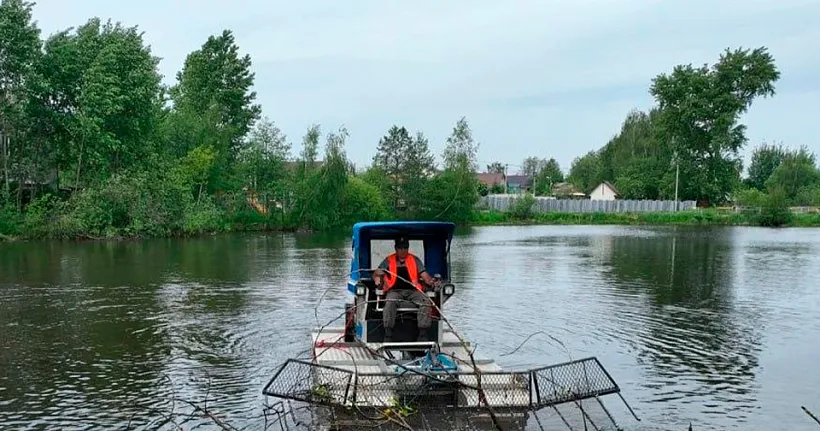 В&nbsp;Дмитровском округе Подмосковья в&nbsp;этом году расчистят 17&nbsp;водоемов