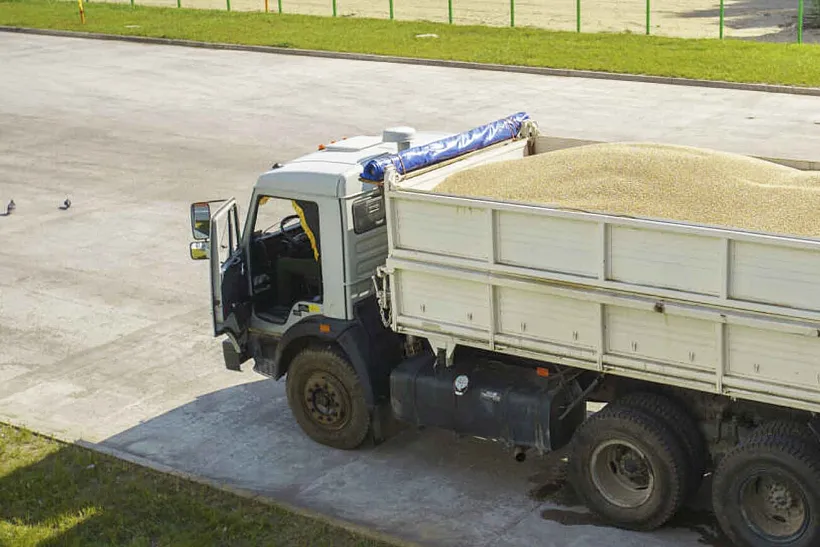 В&nbsp;Татарстане запустят завод по&nbsp;глубокой переработке зерна