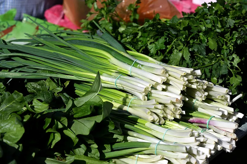 В&nbsp;Татарстане сельскохозяйственные ярмарки продлятся до&nbsp;конца апреля