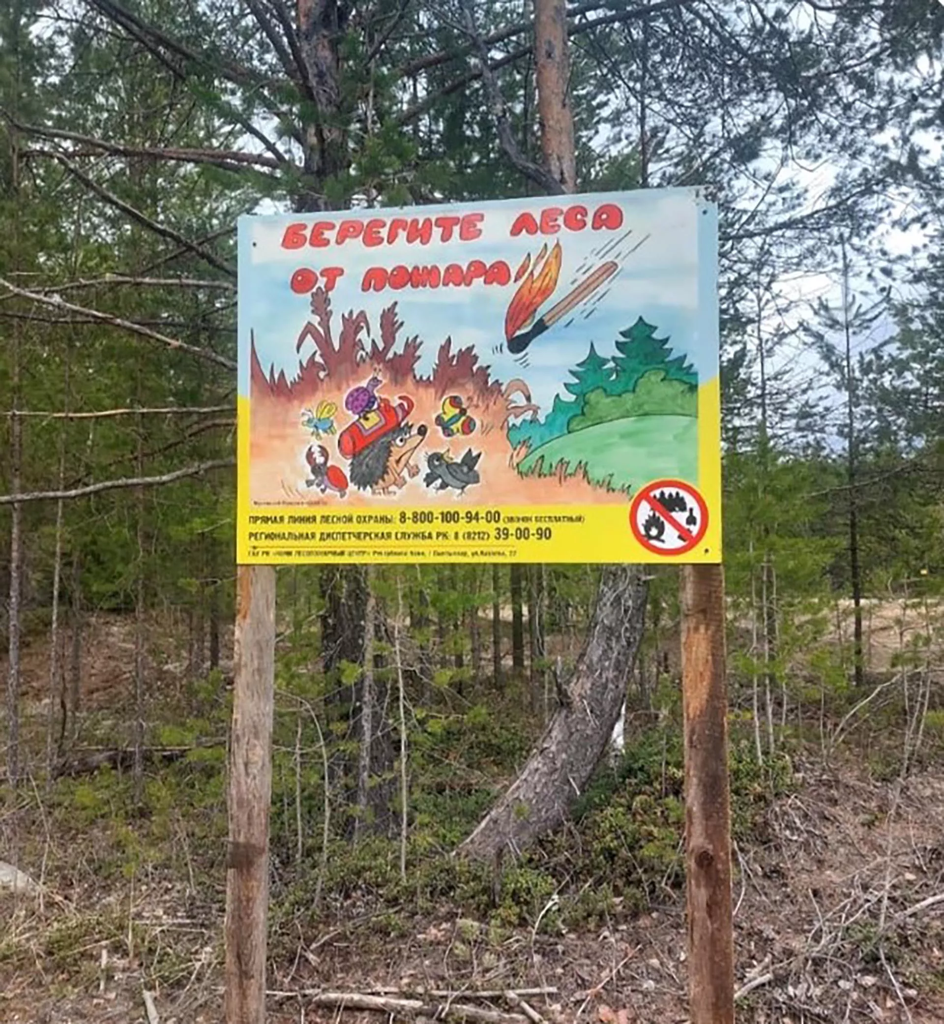 Администрация Главы Республики Коми