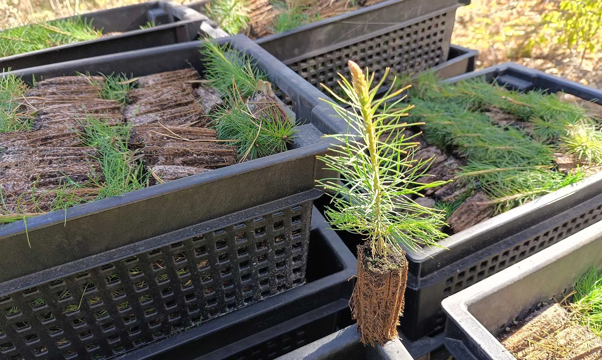 Администрация МО Николаевский район Ульяновской области