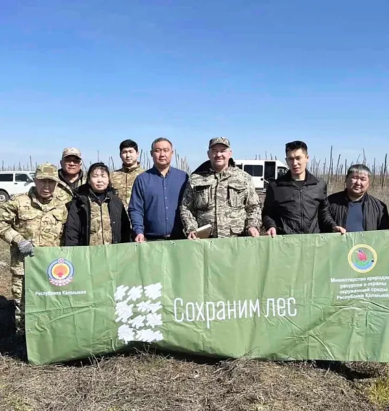 В&nbsp;Калмыкии провели лесовосстановительные работы