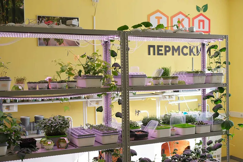 На&nbsp;базе семи школ Пермского края появятся агроклассы