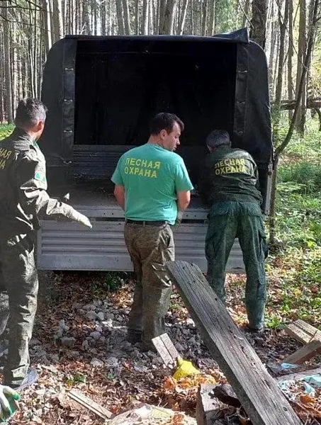 В&nbsp;Московской области проведут экологическую акцию &laquo;Чистый лес&raquo;