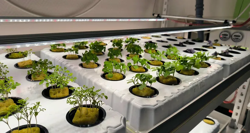 В&nbsp;школе села Новое Ганькино Самарской области открыли агротехкласс