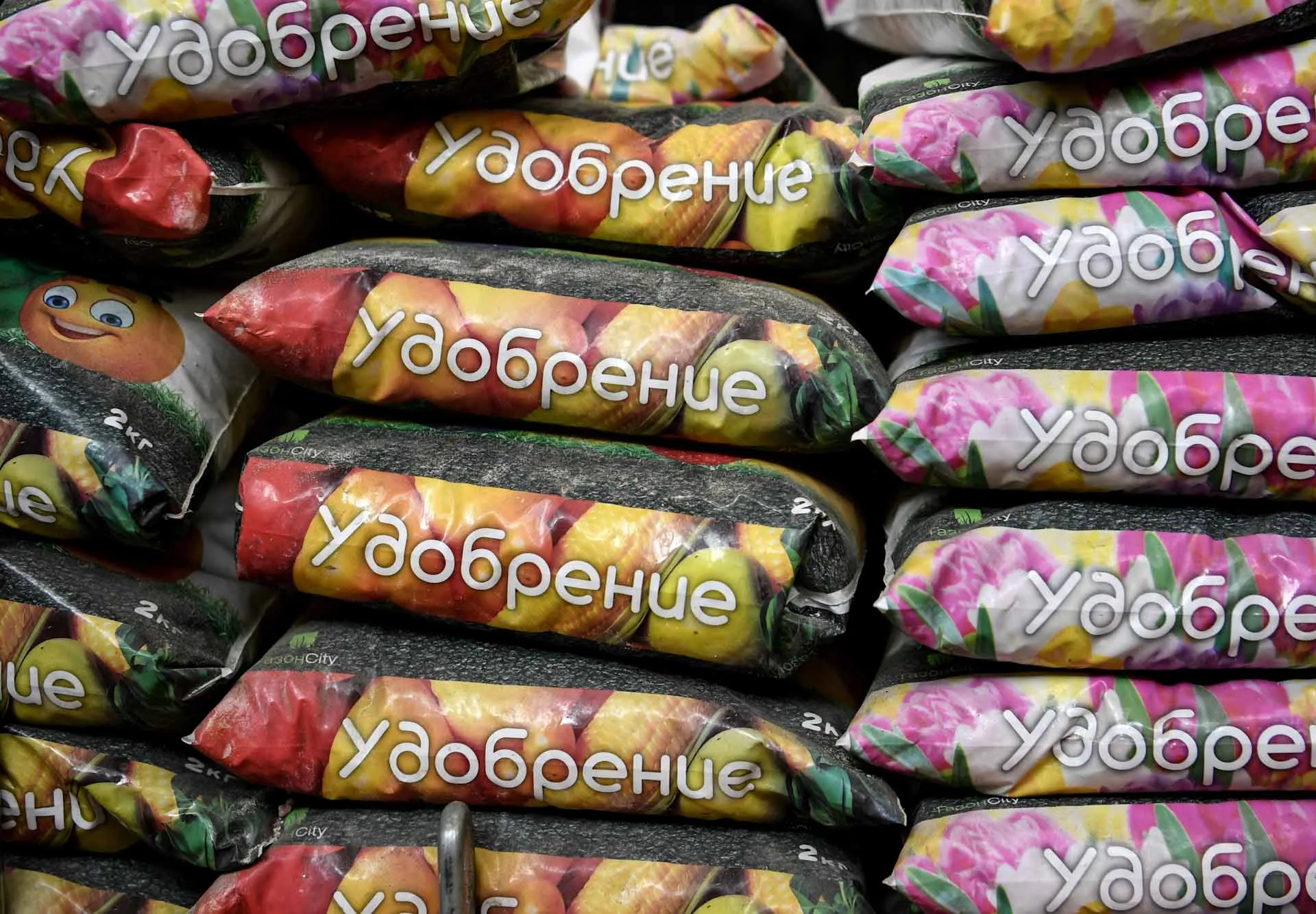 Алексей Филиппов/РИА Новости
