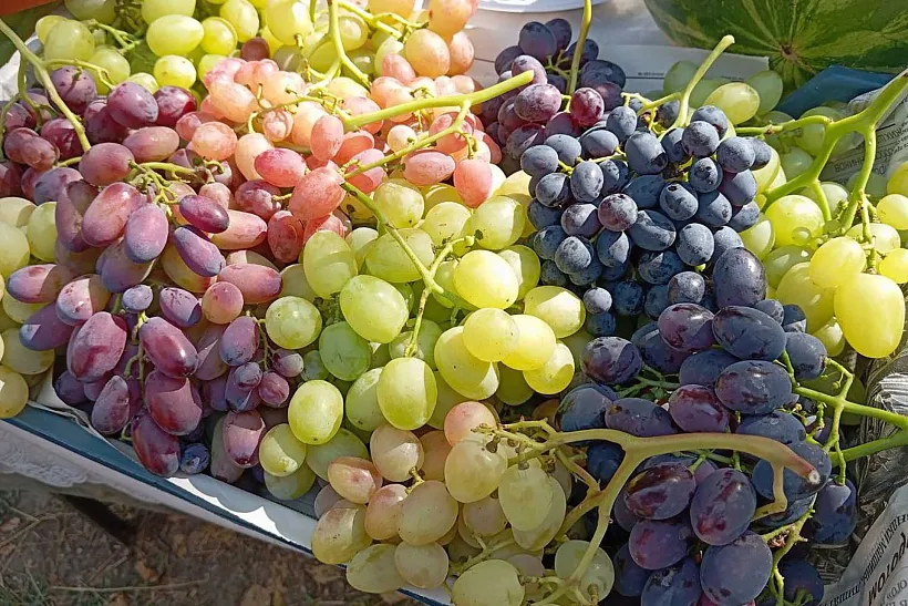 Донские игристые вина вошли в&nbsp;список лучших в&nbsp;стране