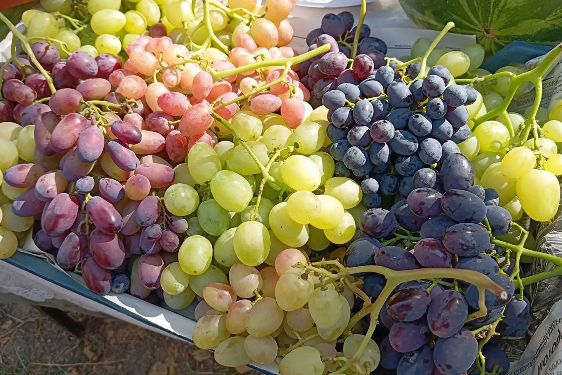 Министерство региональной политики и массовых коммуникаций Ростовской области