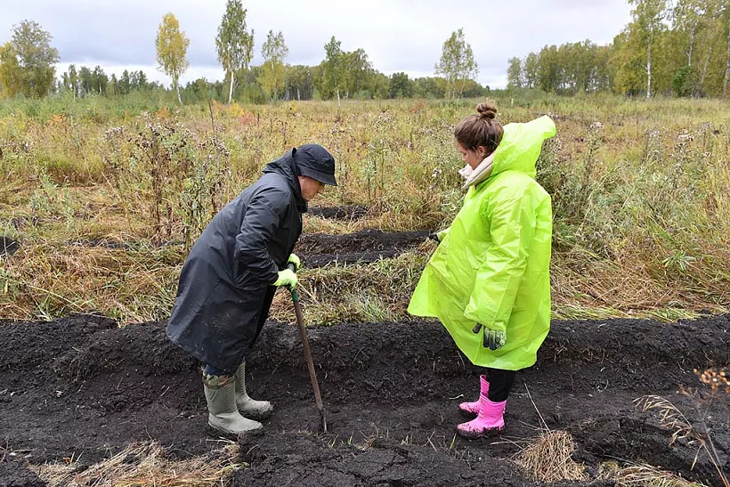В&nbsp;Татарстане лесники восстановили 1,4&nbsp;тыс. га&nbsp;леса
