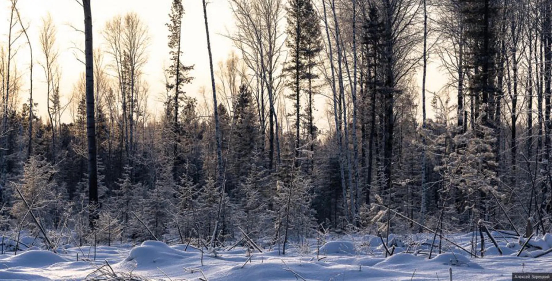 Департамент информационной политики Свердловской области