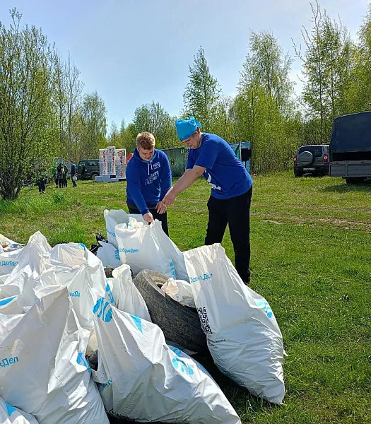 В&nbsp;Костромской области на&nbsp;экологическом турнире собрали более тонны мусора