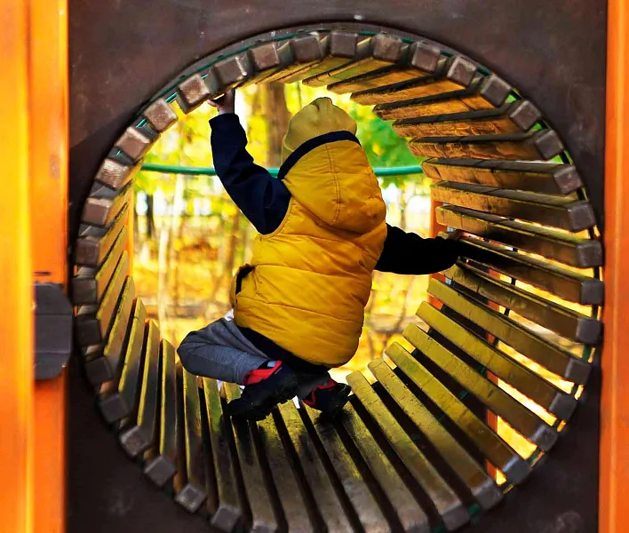 Свыше 80&nbsp;общественных территорий благоустроят в&nbsp;Алтайском крае в&nbsp;2026&nbsp;году