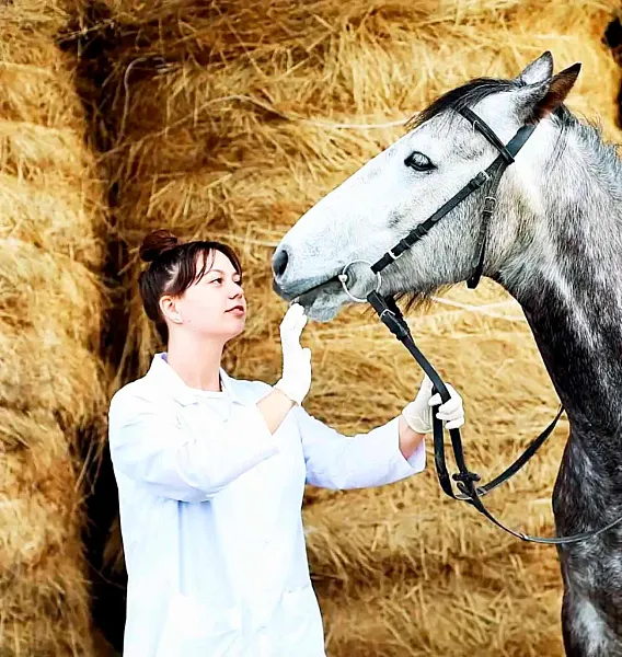 На&nbsp;Ставрополье увеличили поддержку целевого обучения по&nbsp;аграрным профессиям