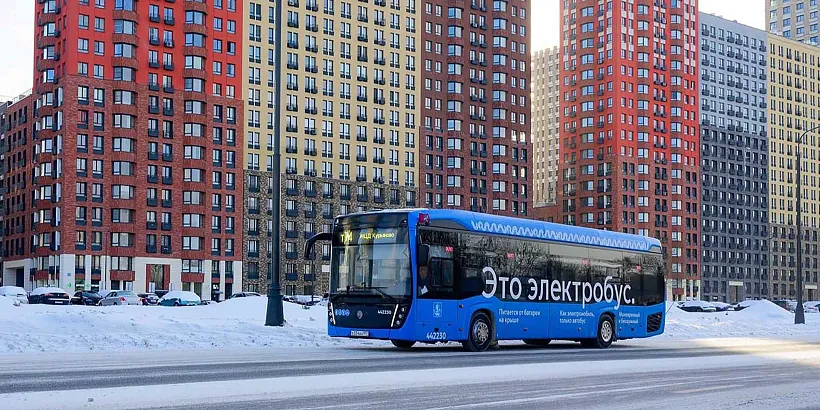 Юные москвичи проверят свои знания о&nbsp;правилах безопасности на&nbsp;дорогах