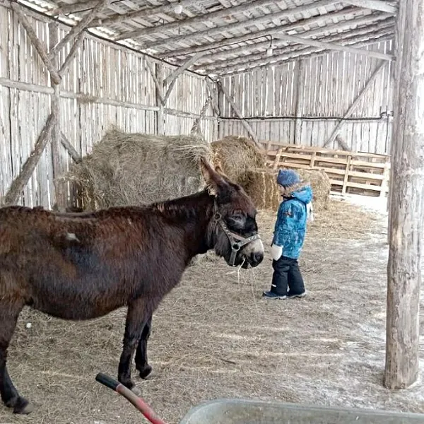 В&nbsp;Челябинской области появилась новая точка притяжения агротуристов