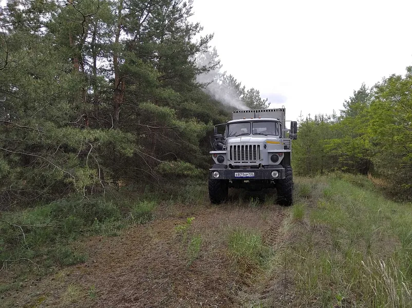 Леса Волгоградской области обработают от&nbsp;насекомых-вредителей