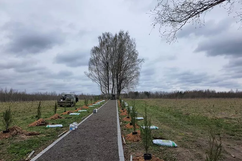 В&nbsp;рамках международной акции &laquo;Сад памяти&raquo; в&nbsp;Псковской области посадили боле