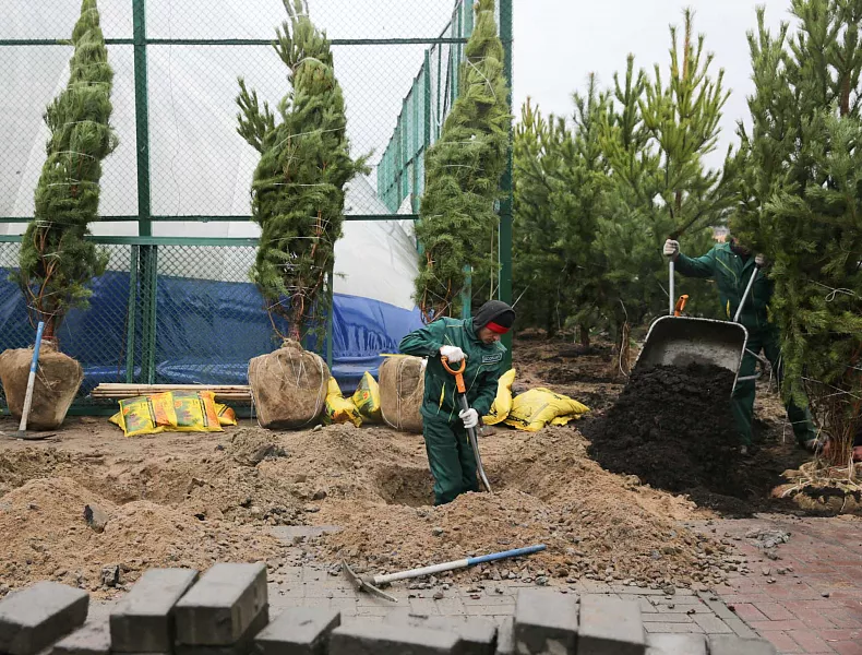 В&nbsp;Красноярском крае определили 30&nbsp;объектов для&nbsp;благоустройства в&nbsp;2025&nbsp;году