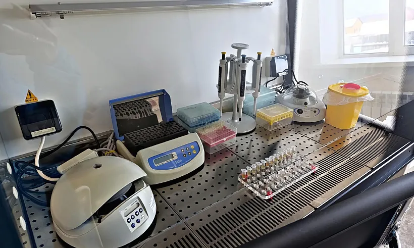 Ученые Новосибирской области разработали экспресс-тесты на&nbsp;вирусы растений