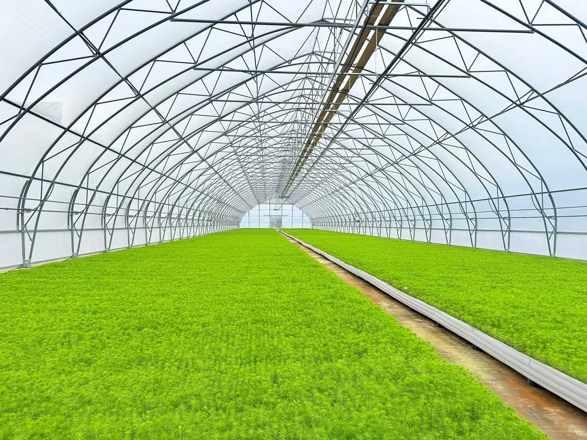 Департамент лесного комплекса Вологодской области