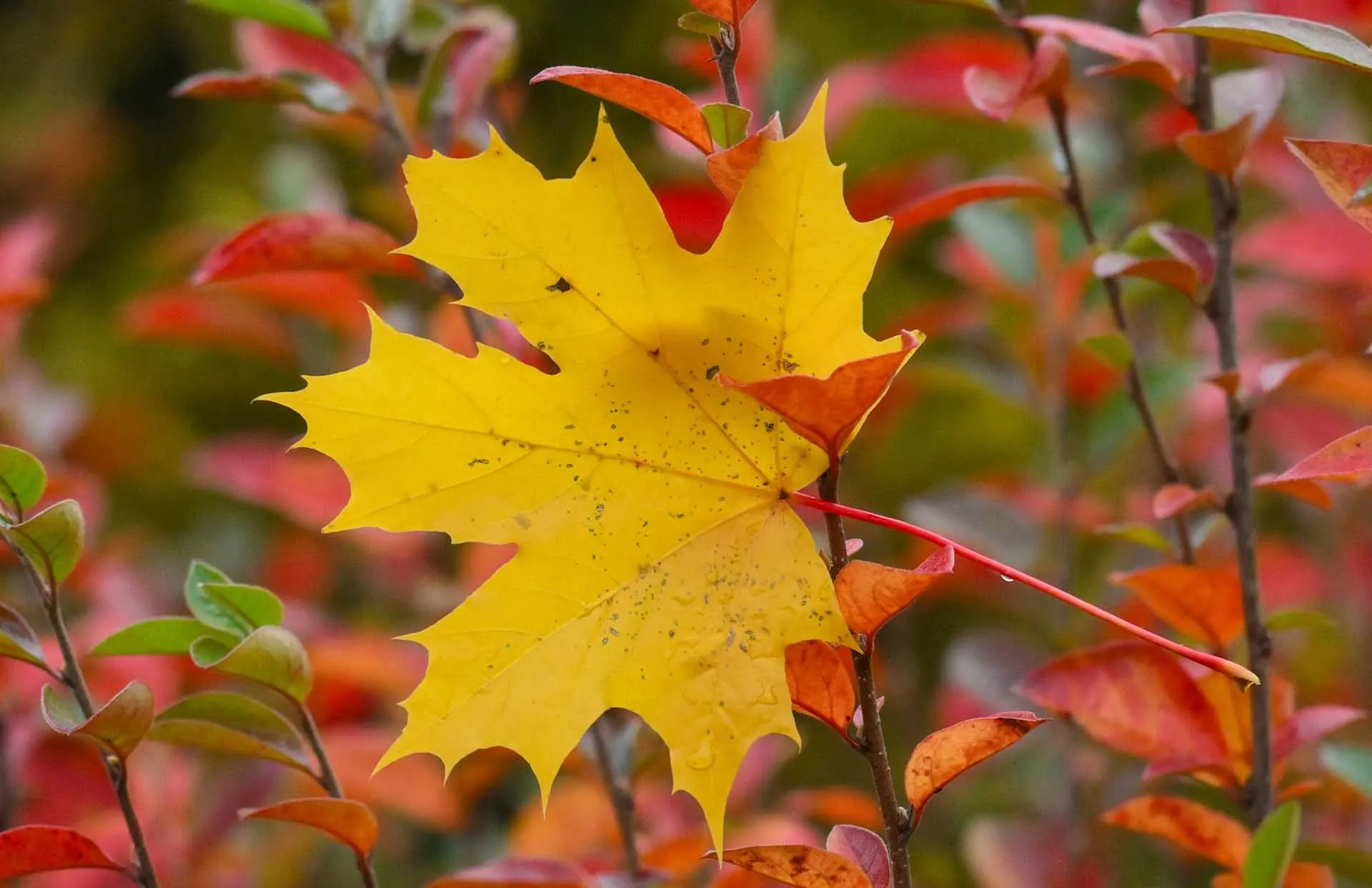 Юрий Кочетков/РИА Новости