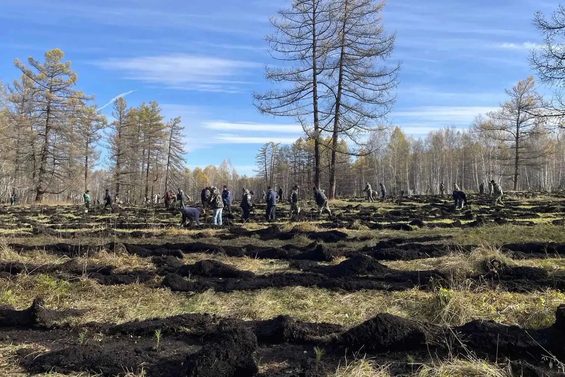 Министерство лесного хозяйства Республики Башкортостан