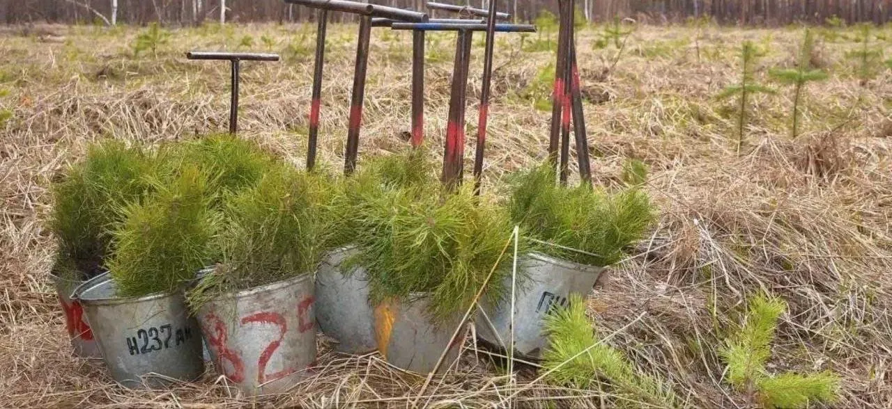 Министерство лесного, охотничьего хозяйства и природопользования Пензенской области