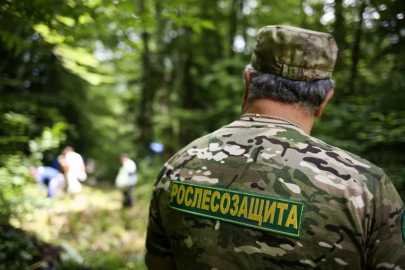 В&nbsp;Вологодские лесхозы поступила новая техника