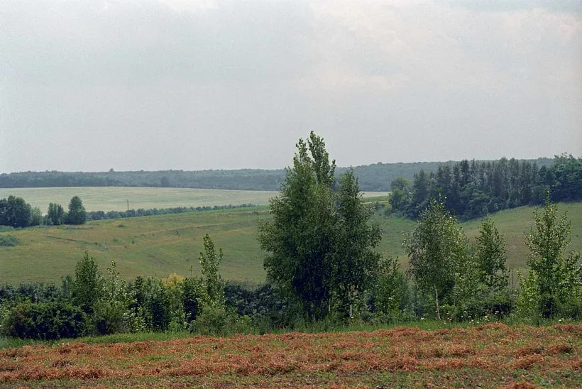 В&nbsp;Белгороде создадут охраняемую природную территорию &laquo;Разуменские ряски&raquo;