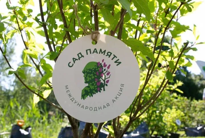В&nbsp;Ростовской области подвели итоги Международной акции &laquo;Сад памяти&raquo;